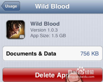 如何清理iPhone中的空间(“其他”)