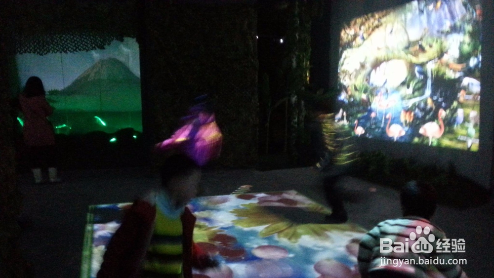 星际森林奇幻之旅的游玩攻略