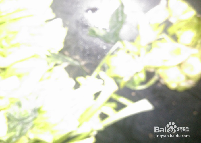 做菜拍摄照片要注意哪些