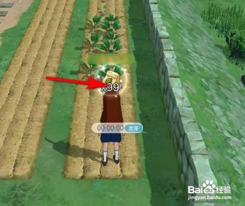 小森生活游戏种西瓜应该怎么种植