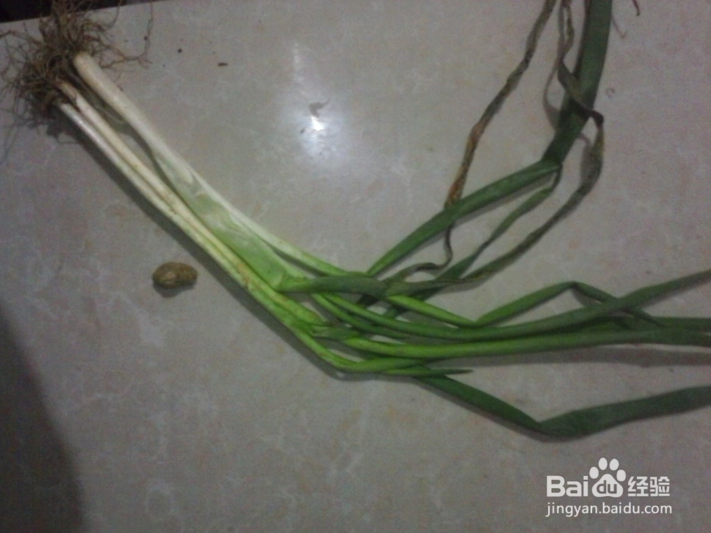 青菜葱香豆腐汤的做法