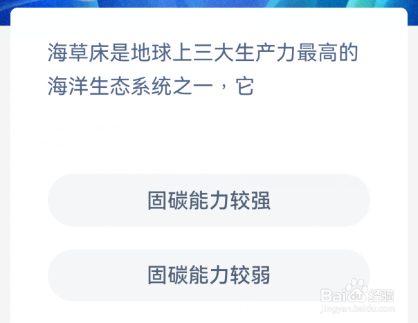 神奇海洋：海草床是地球上三大生产力最高的海洋