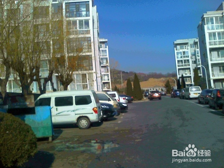 冬天植被怎样养护