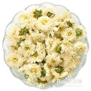 常用中药的介绍及使用——菊花