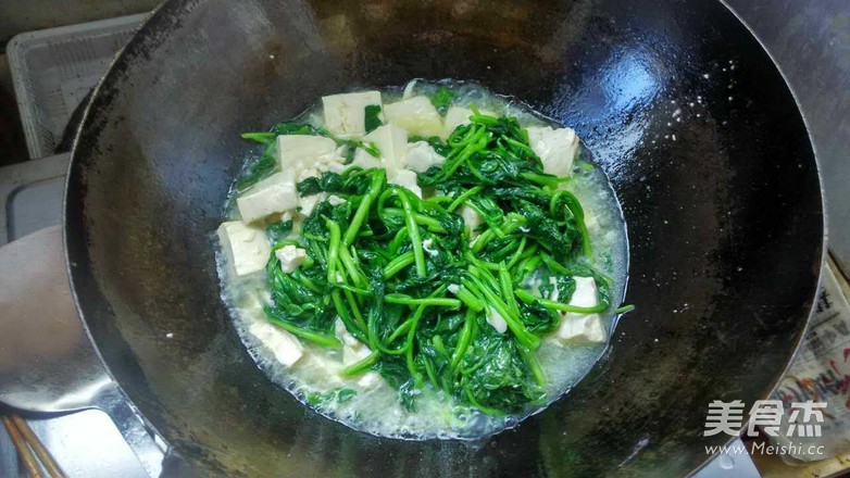 青菜豆腐的做法