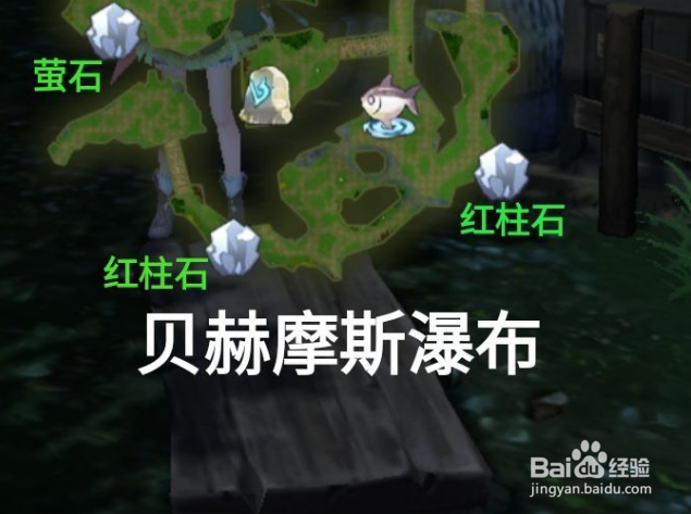 浣熊不高兴怎么丢弃浣熊