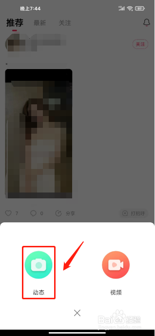 真聊在哪里发布动态