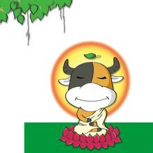 如何处理好大学宿舍关系