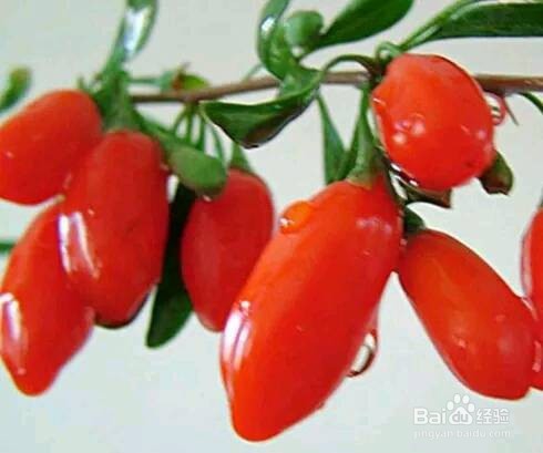 给身体排毒养颜、养肝护肝的人,多吃这五种食物