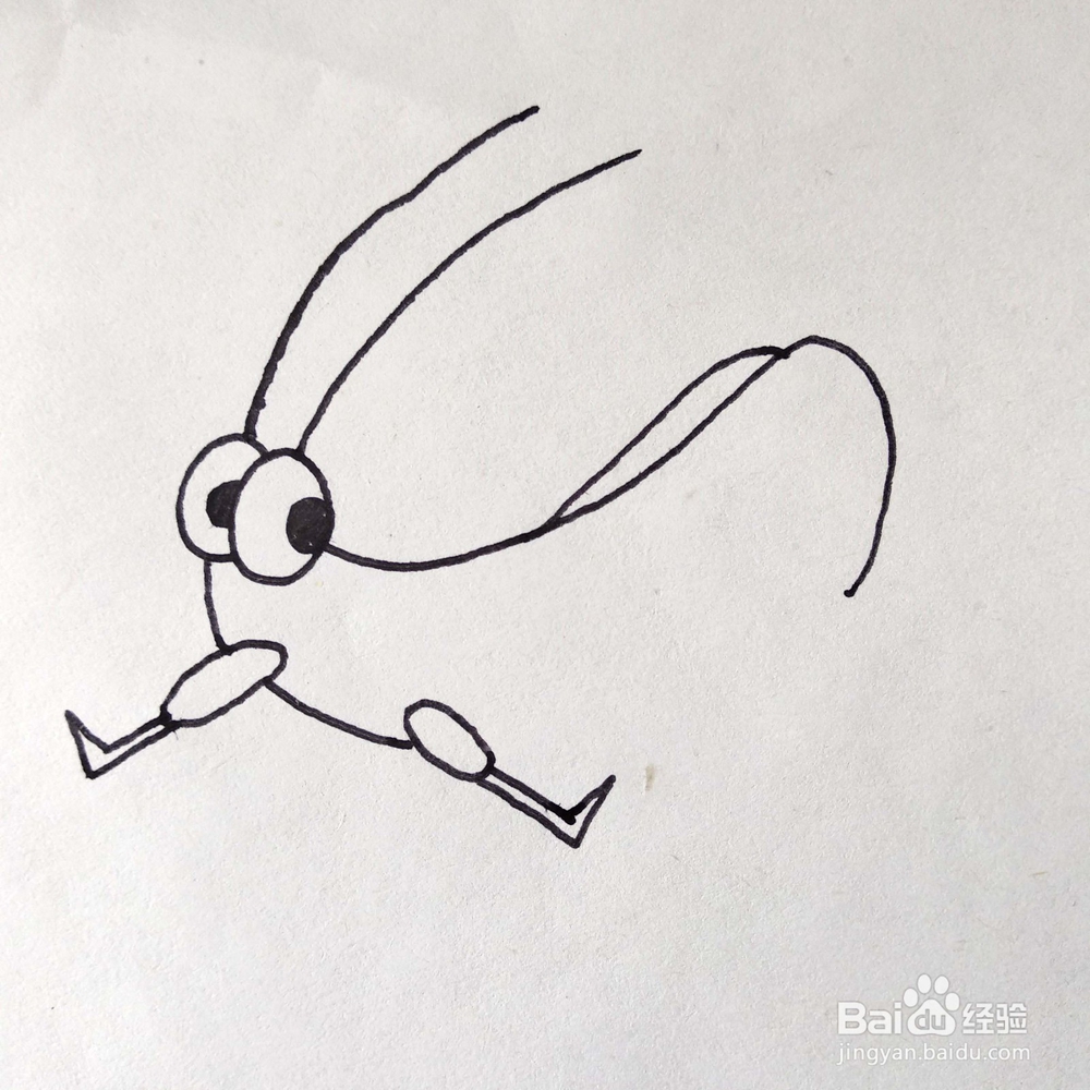 如何画一只有趣的蚱蜢/蝈蝈卡通简笔画