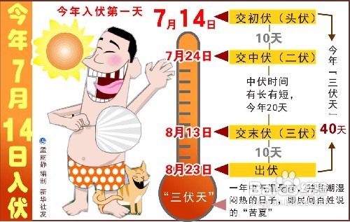 三伏天怎么算