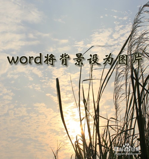 word将背景设为图片