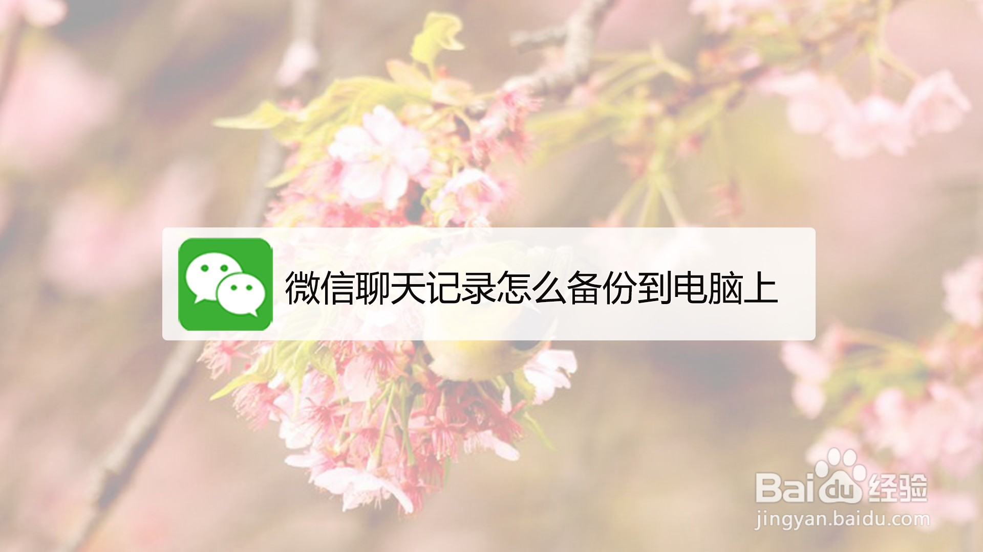 <b>微信聊天记录怎么备份到电脑上</b>