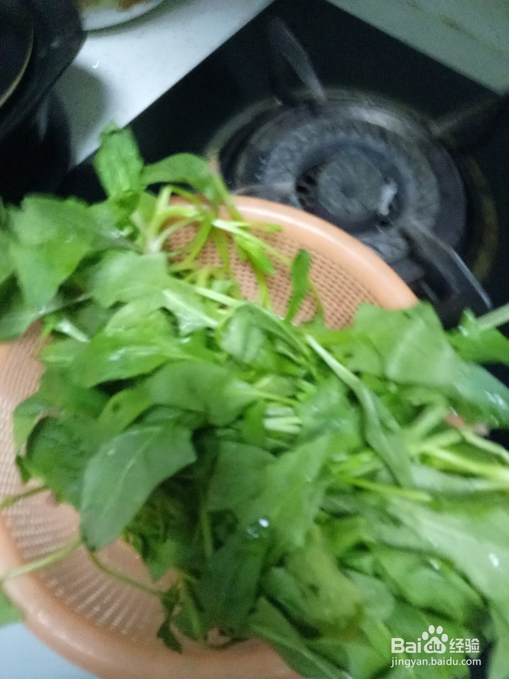 家常菠菜炒豆腐