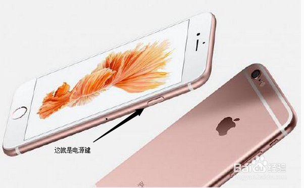 苹果6s死机后怎么重启