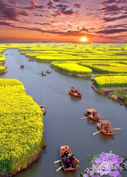 怎样分辨图片是否被PS过