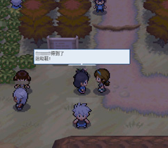 pokemmo合众二周目攻略？