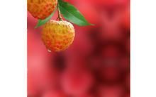 小儿遗尿症的饮食疗法