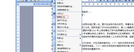 Word中怎么使用制表位