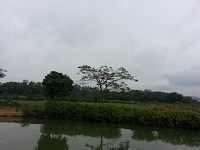 深圳白领周末休闲推荐之深秋探寻田园古屋