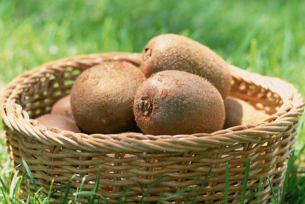 喝酒后可以吃奇异果吗