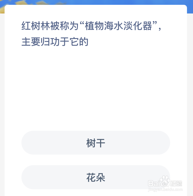红树林被称为植物海水淡化器主要归功于它的
