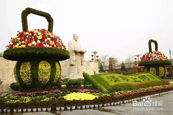 最新开封菊展旅游攻略