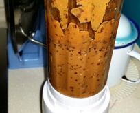 “我的枣泥终于做好了