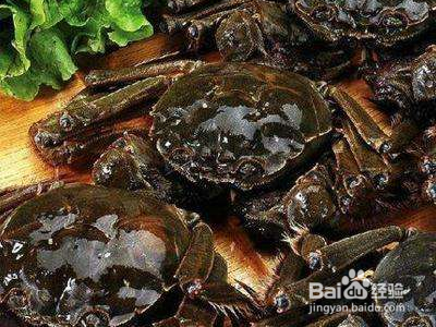 飞机带活螃蟹最佳方法？