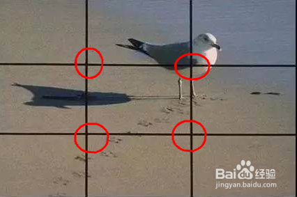 怎样提高手机摄影的水平