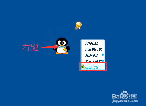 QQ宠物怎么设置不自动登录QQ宠物自动登录