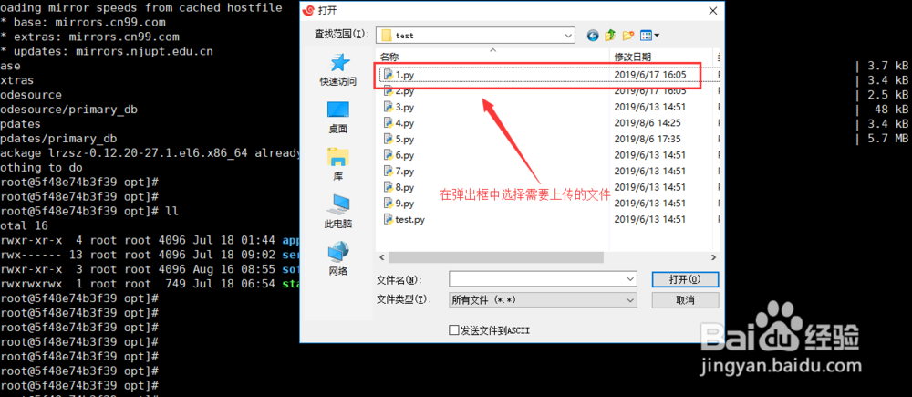 Linux如何导入与导出文件（实践整理）