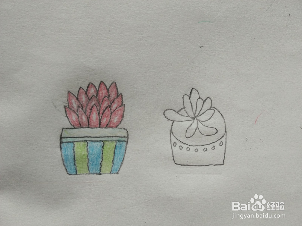 简笔画——怎么画多肉盆栽