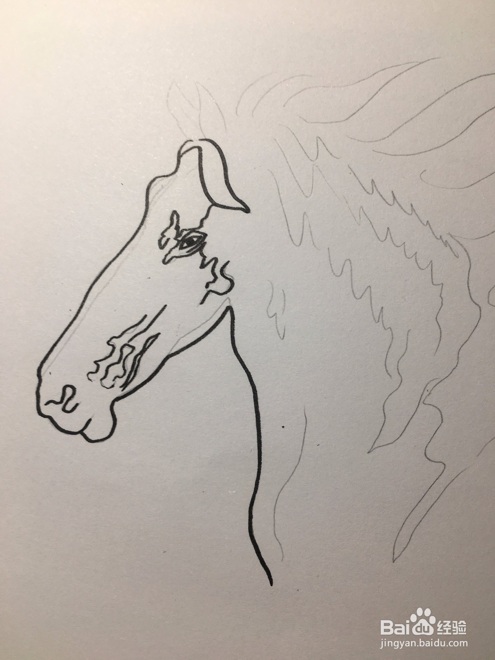 马的简笔画 马的抽象线描画