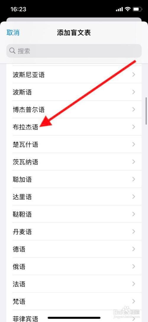 iPhone旁白增加“布拉杰语”盲文表