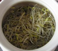 砂锅排骨炖豆芽的做法