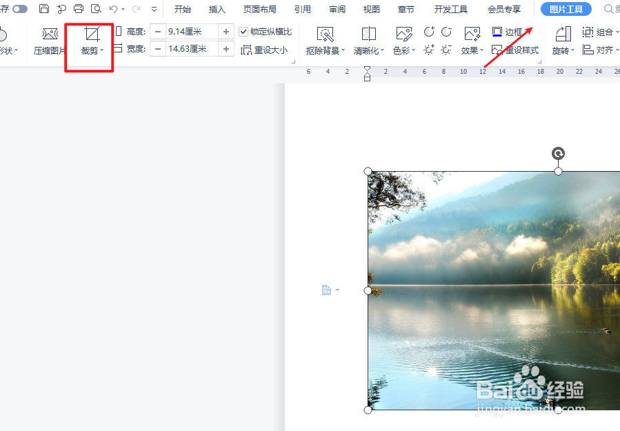 word怎么剪切图片的一部分