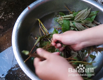 怎么做好吃的香椿炒鸡蛋