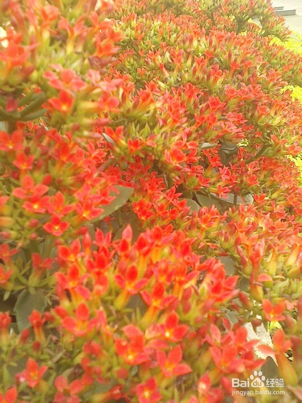 怎样把多张图片最大化地打印到一张A4纸上