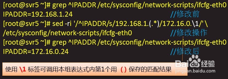 sed基本用法详解