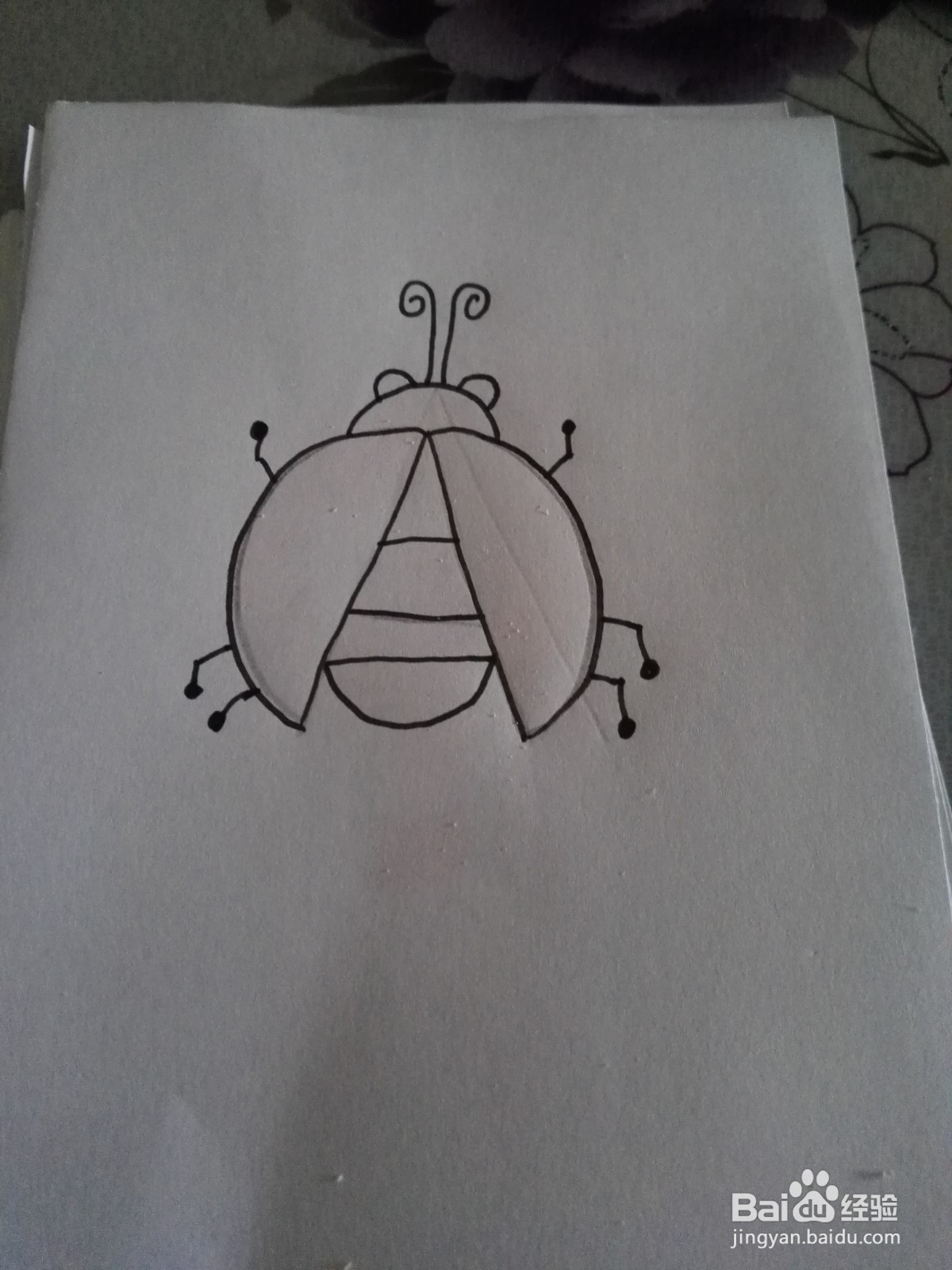 可爱的七星飘虫的简笔画法