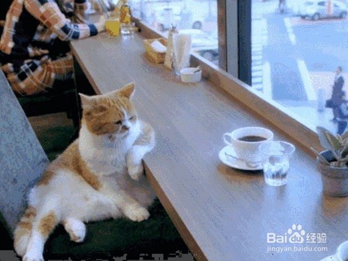 很多人爱泡在咖啡馆里看书和工作的原因