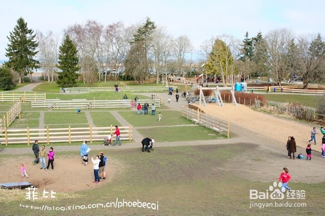 温哥华百万木头公园