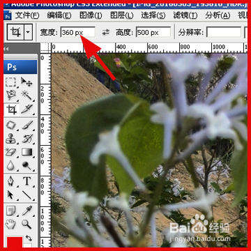 PS改变裁切工具单位的两种方法