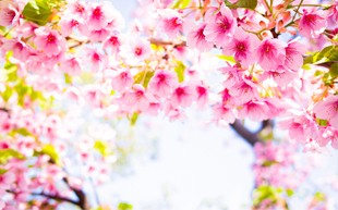 如何挑选适合女生戴的手表？