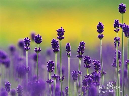 相信自己，迎接优等的自己