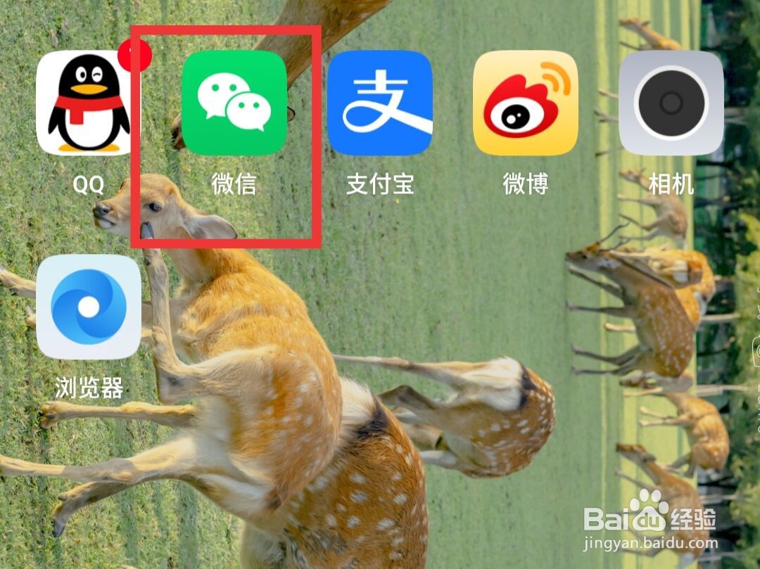 微信收款语音提醒怎么打开