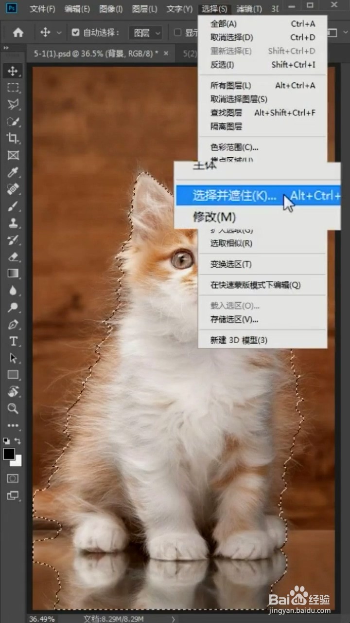 如何利用photoshop抠出小猫咪