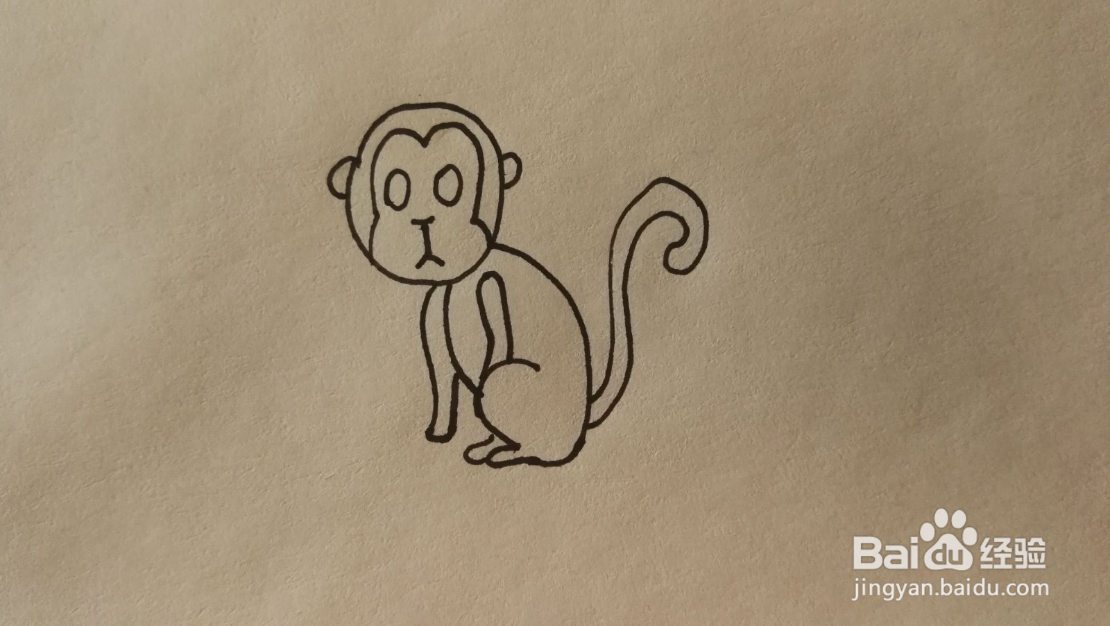 #经验分享官#小猴子的简笔画