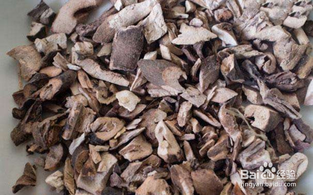 牡丹开花的情况和实用价值